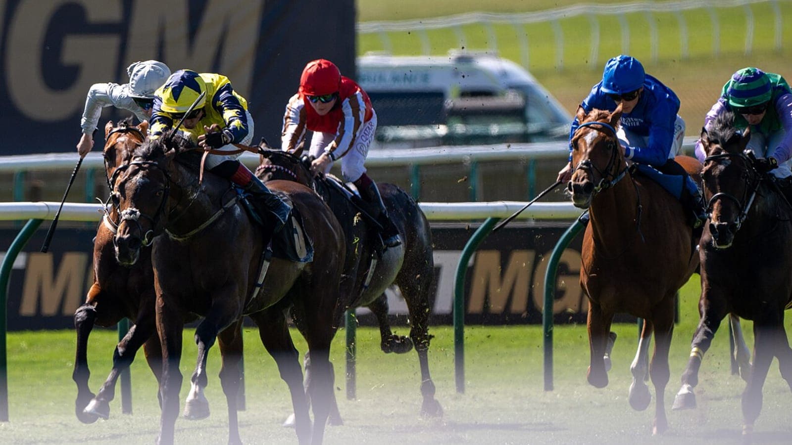 Cheval de course pur-sang ramené après l'arrivée pour un contrôle anti-dopage France Galop sur un hippodrome français.