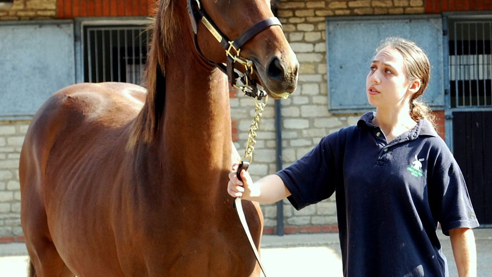 Cheval de course au galop d'essai sur la piste d'entraînement, accompagné de son cavalier lad.