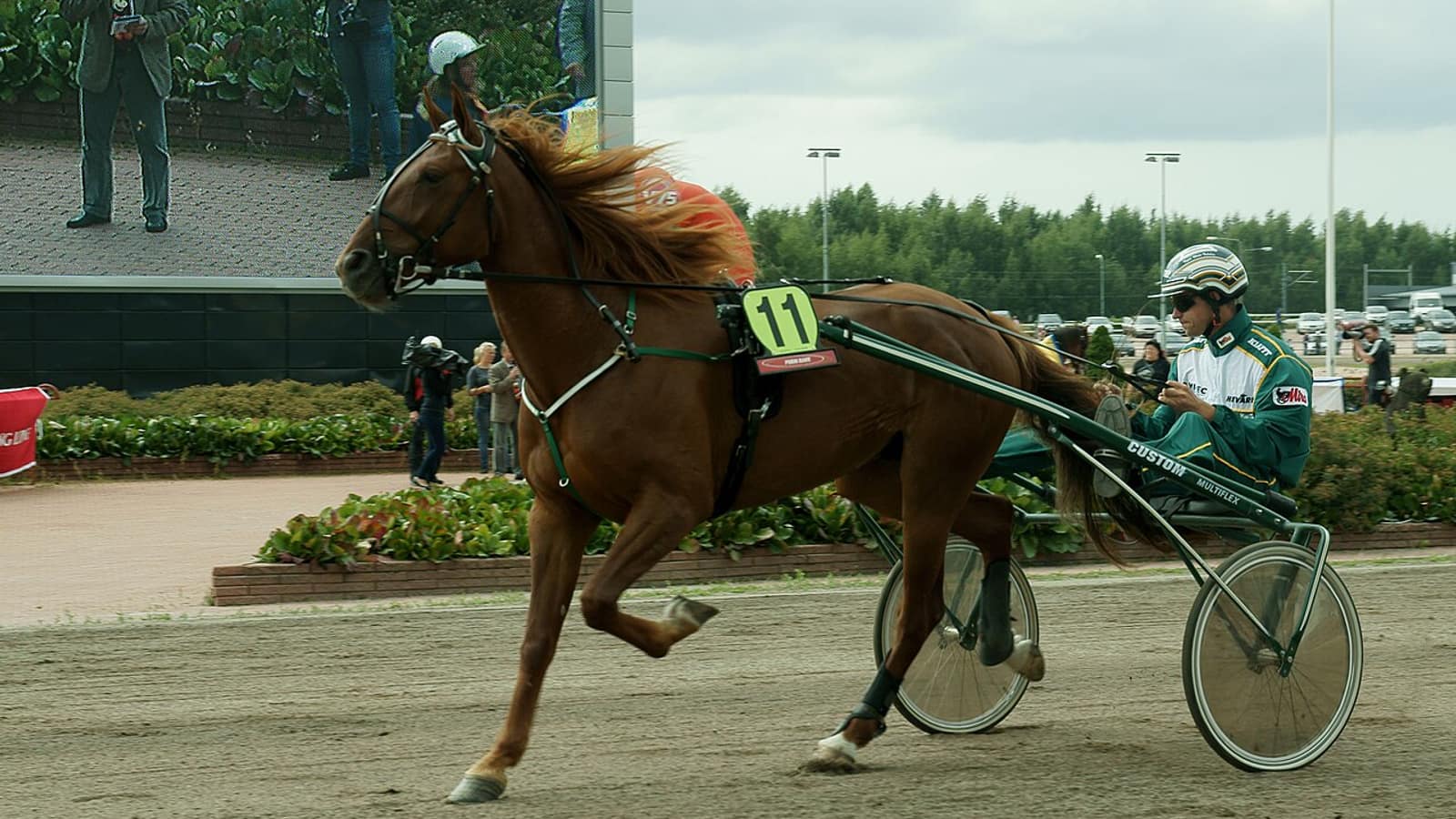Driver et entraîneur préparant un trotteur attelé au sulky avant de déclarer les partants au trot sur un hippodrome français.