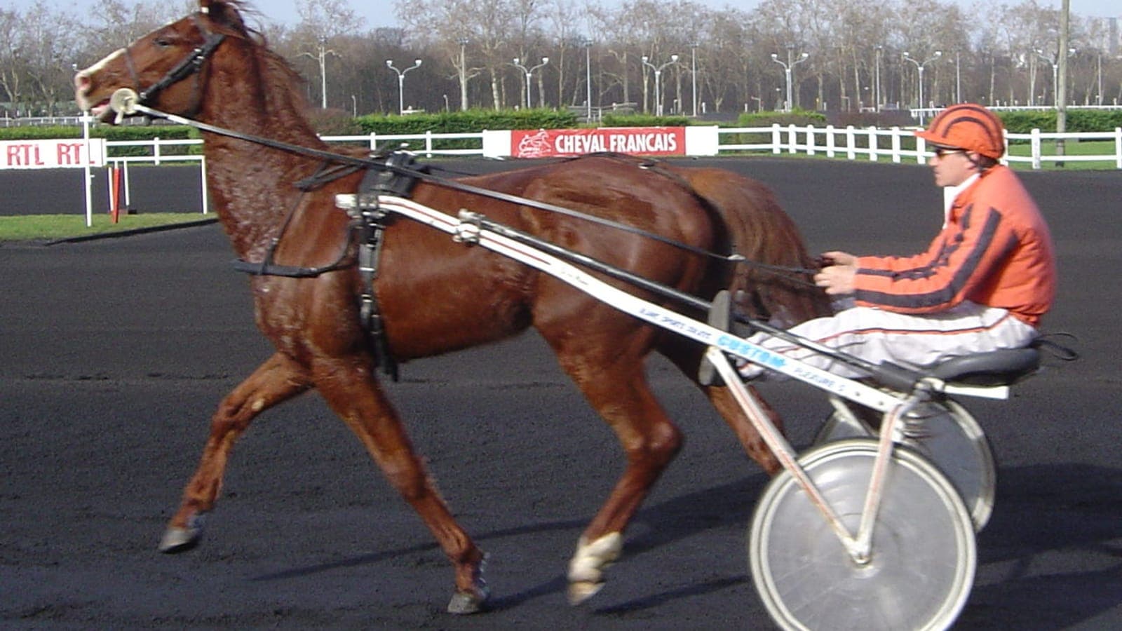 Trotteur attelé au sulky et pur-sang au galop côte à côte, illustrant la différence entre galop et trot en courses.