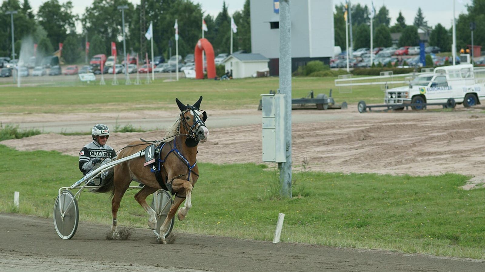 Trotteur attelé au sulky surveillé par un commissaire de courses, illustrant la disqualification au trot en cas de galop.