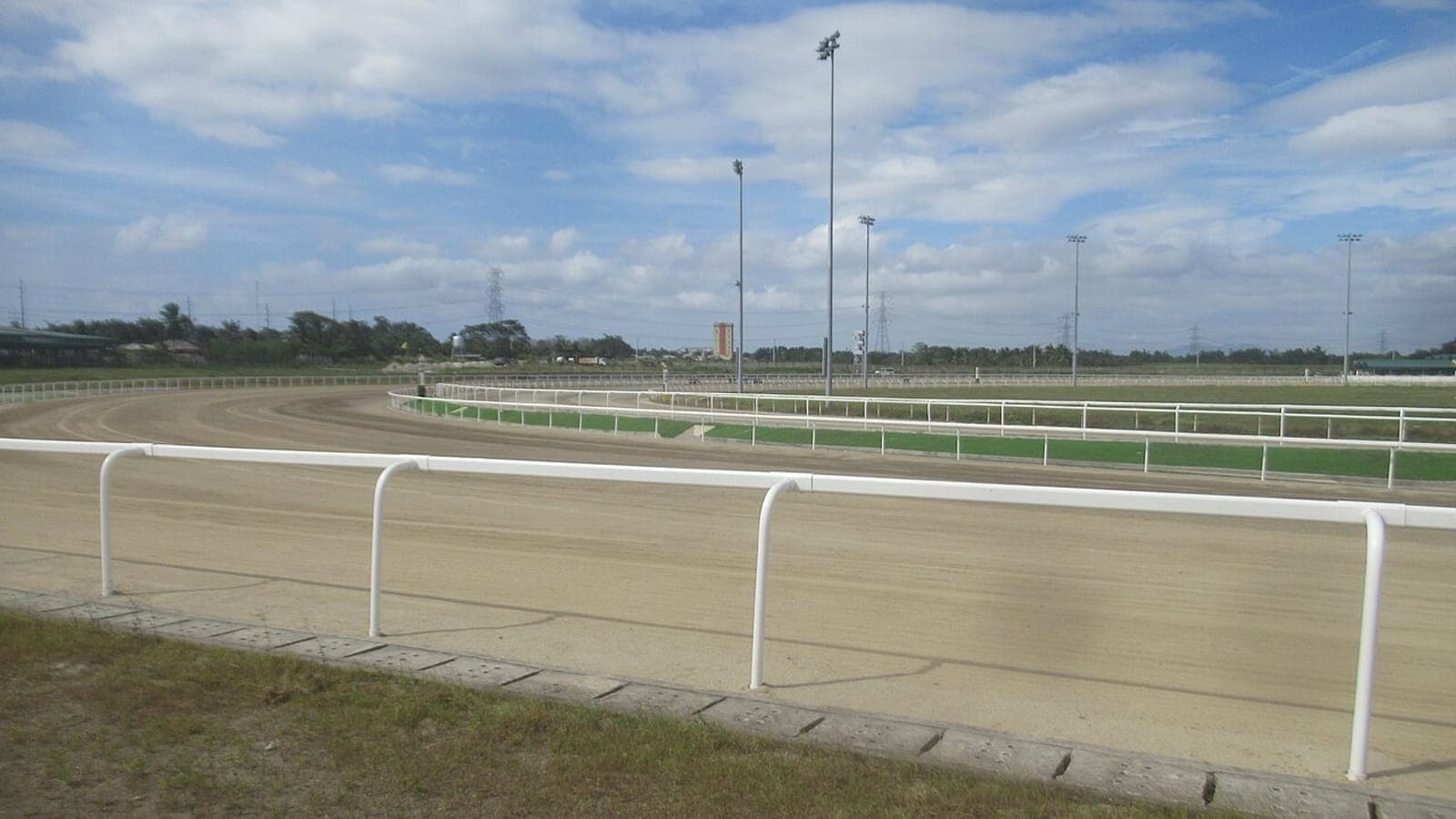 Entraîneur préparant un cheval de course pur-sang avant de l'engager en course sur un hippodrome français.